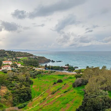 Villa Seaview Paradise With Private Pool & Jacuzzi In Paphos